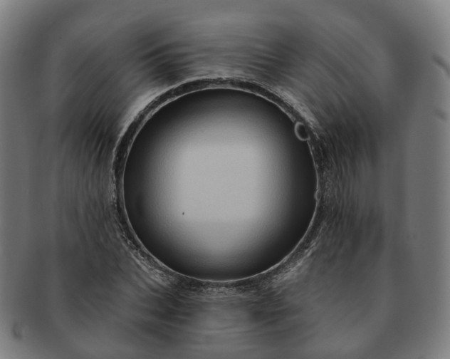 X0000091310927200708241110