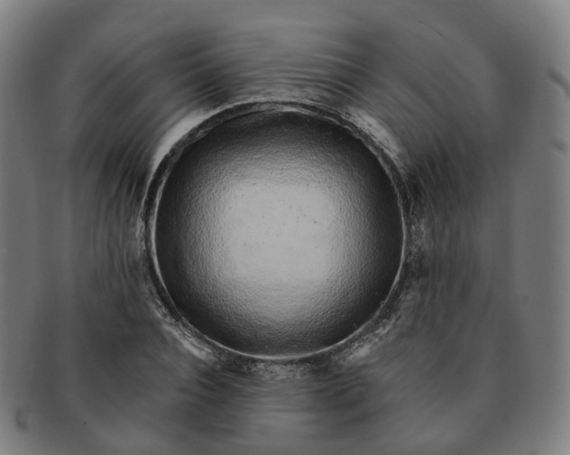 X0000091310928200708241110