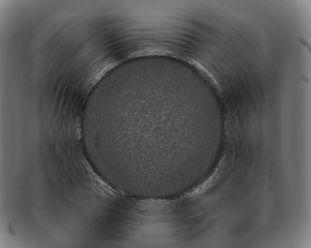 X0000091310929200708241110