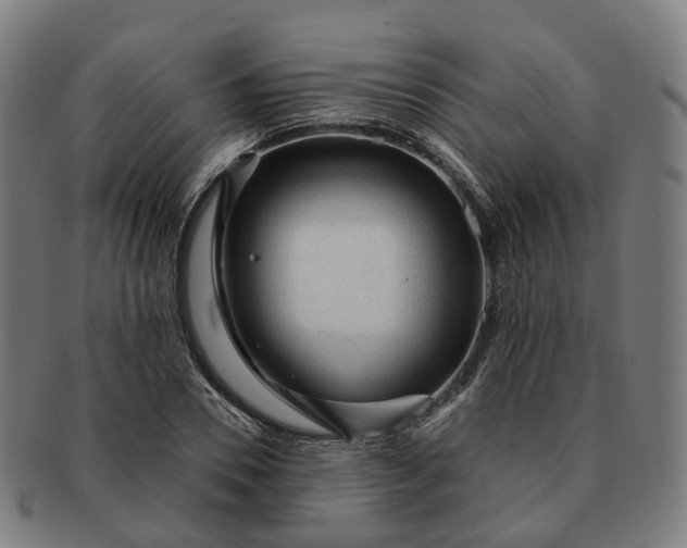 X0000091310930200708241110