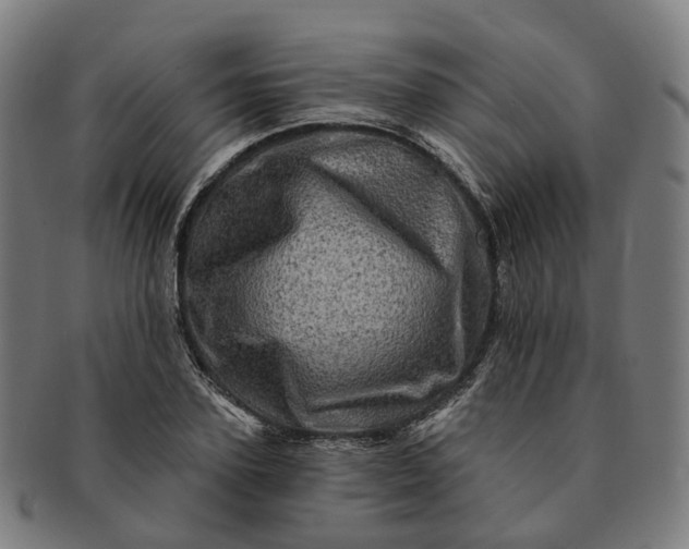 X0000091310931200708241110