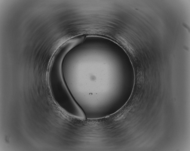 X0000091310932200708241110