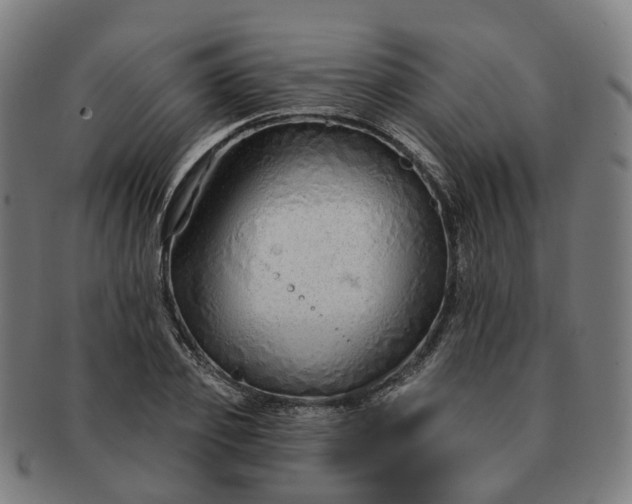 X0000091310933200708241110