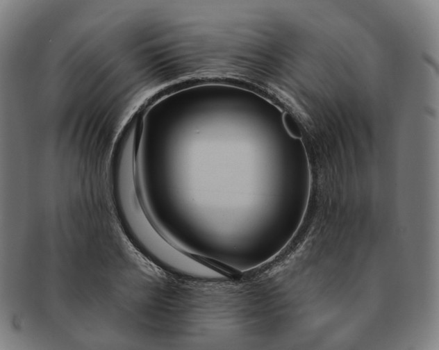 X0000091310934200708241110