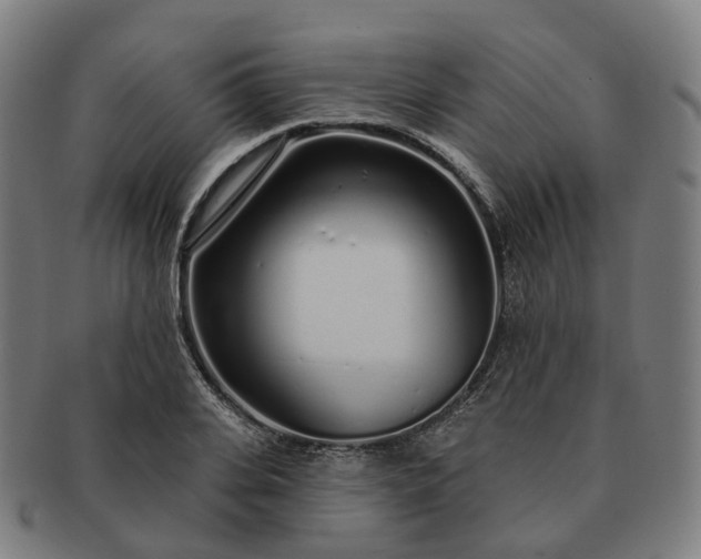 X0000091310935200708241110