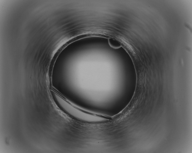 X0000091310936200708241110