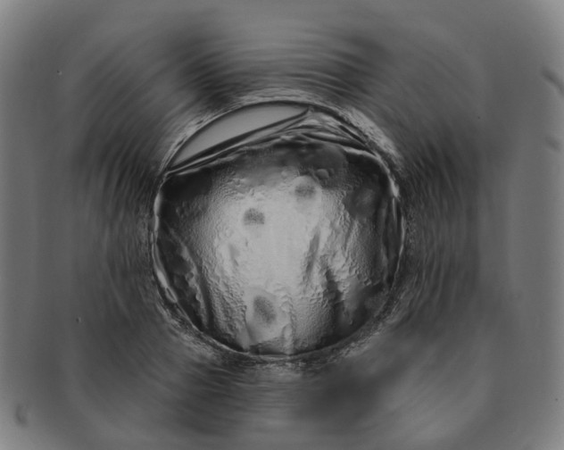 X0000091310937200708241110