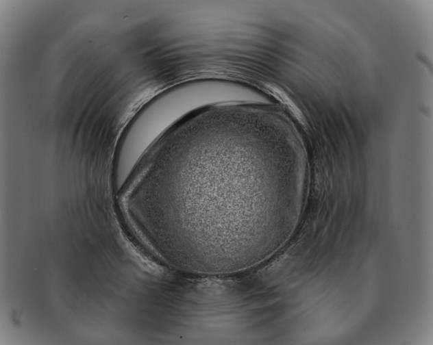 X0000091310938200708241110