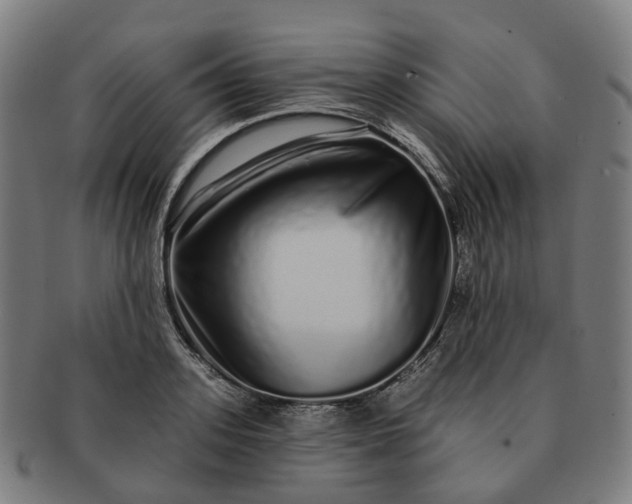 X0000091310939200708241110