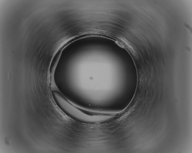 X0000091310940200708241110