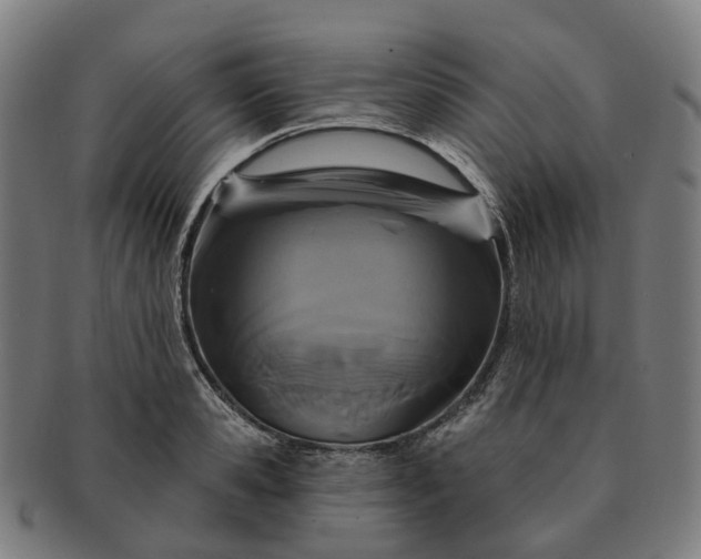 X0000091310941200708241110