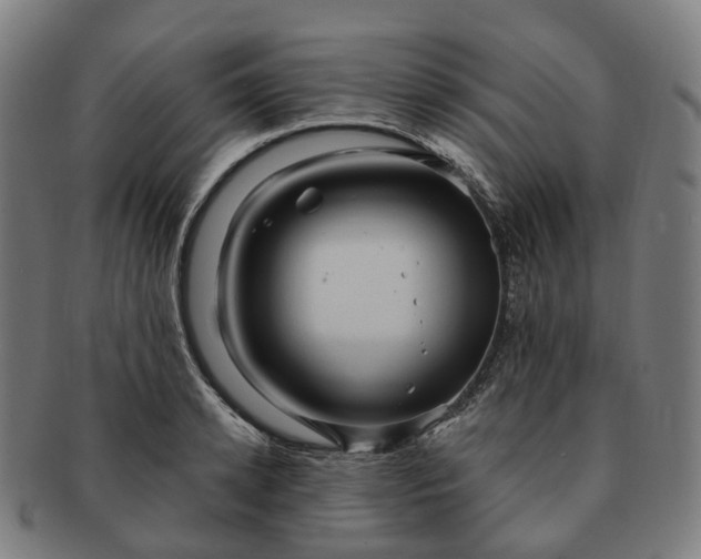 X0000091310942200708241111