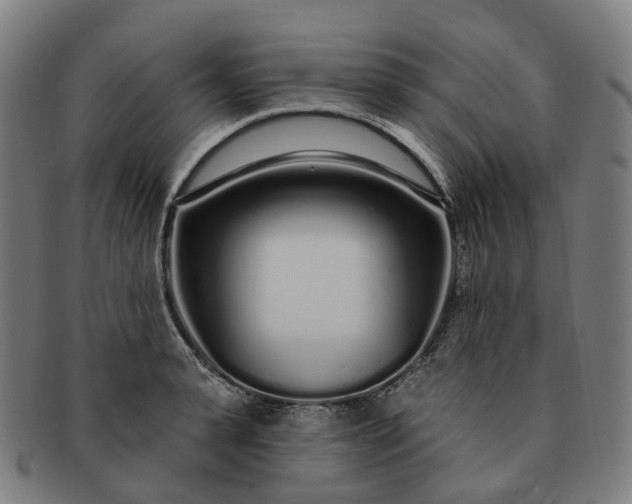 X0000091310943200708241111