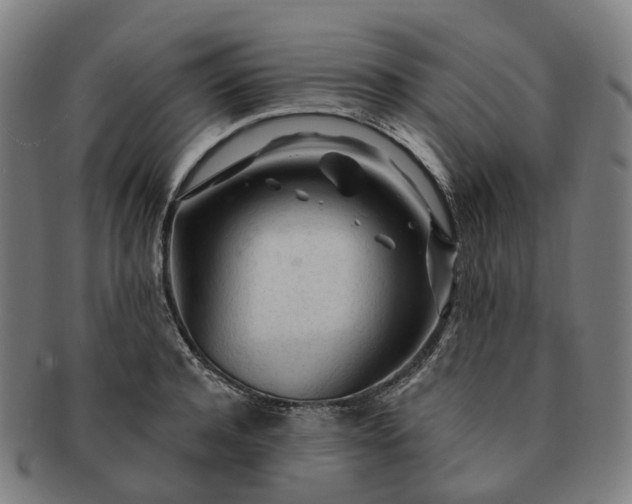 X0000091310944200708241111