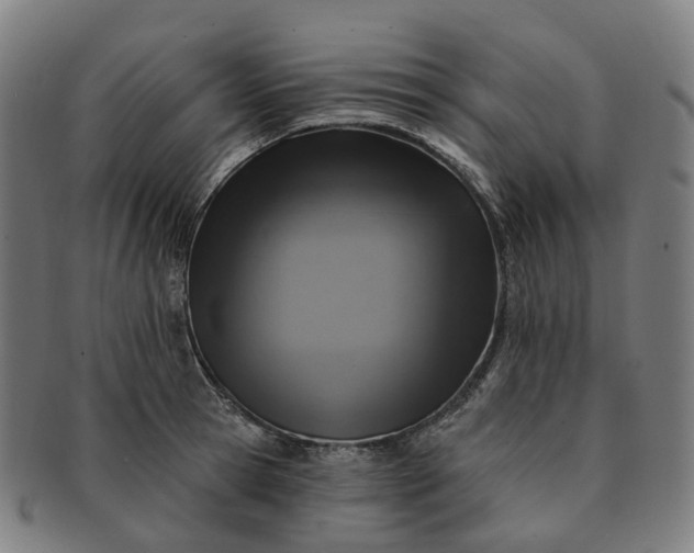 X0000091310945200708241111