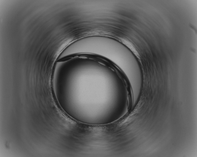 X0000091310946200708241111