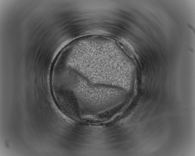 X0000091310947200708241111