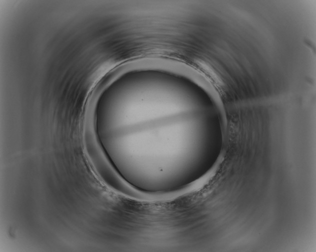 X0000091310948200708241111