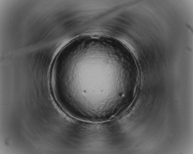 X0000091310949200708241111