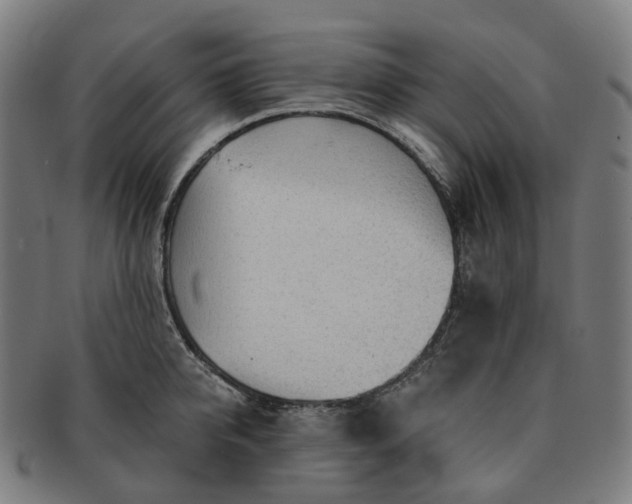 X0000091310950200708241111