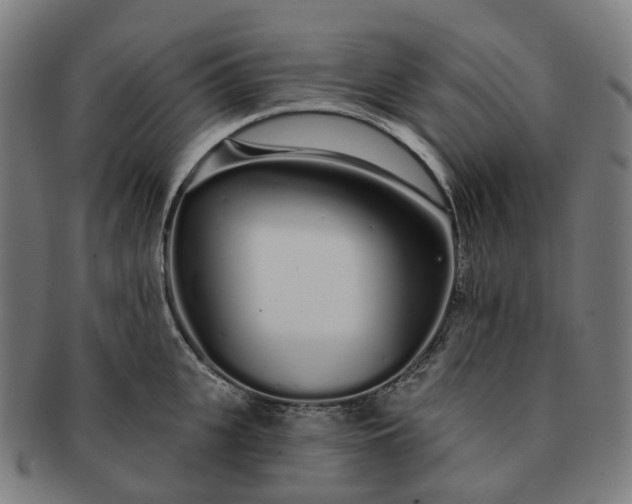 X0000091310951200708241111