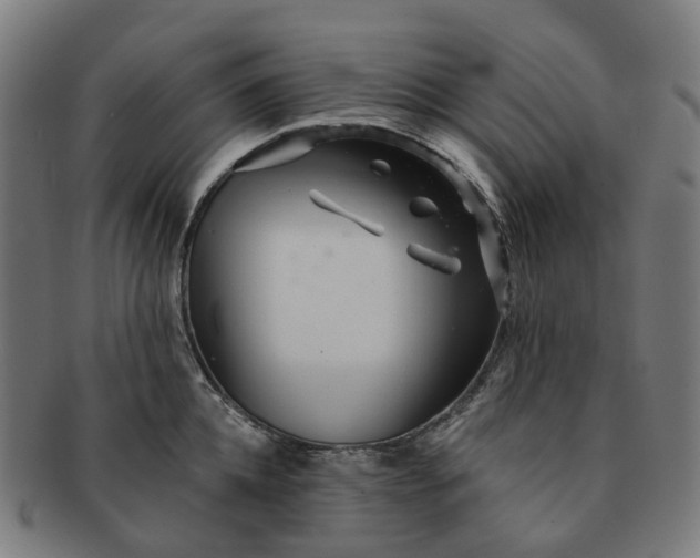 X0000091310952200708241111