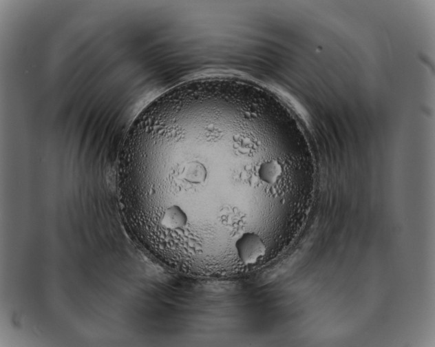 X0000091310953200708241111