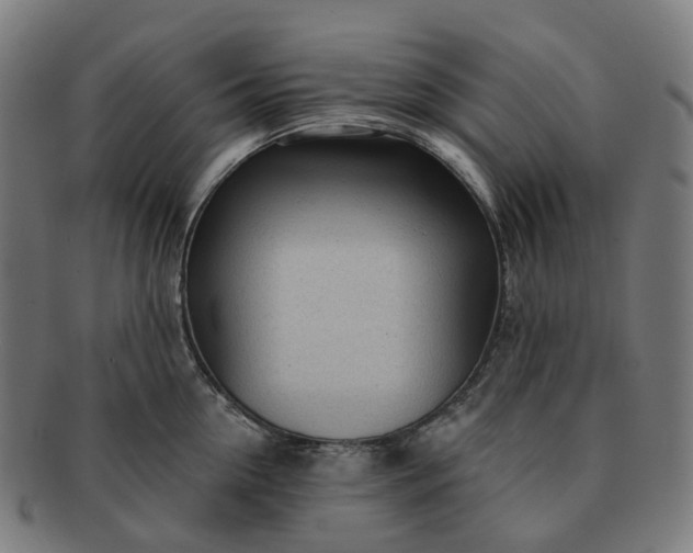 X0000091310954200708241111