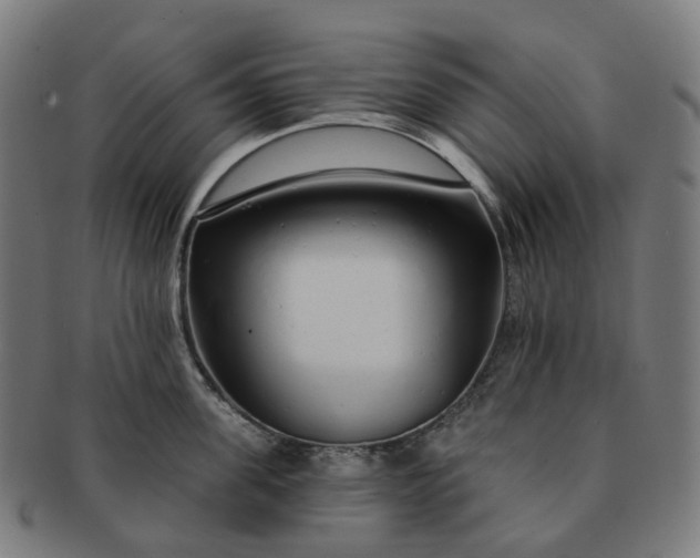 X0000091310955200708241111