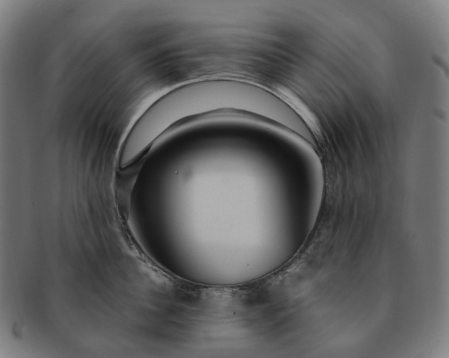 X0000091310956200708241111