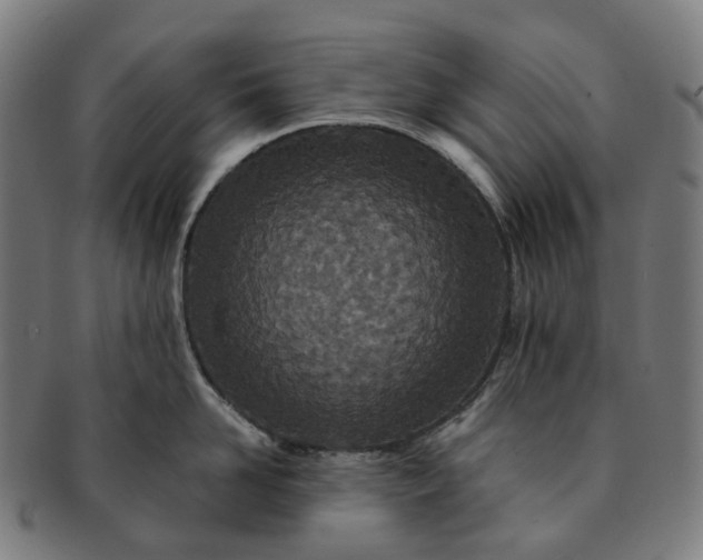 X0000091310958200708241111