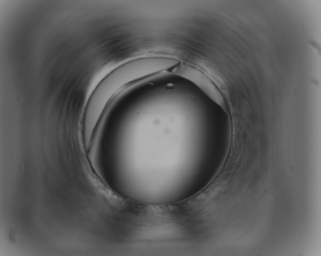 X0000091310960200708241111