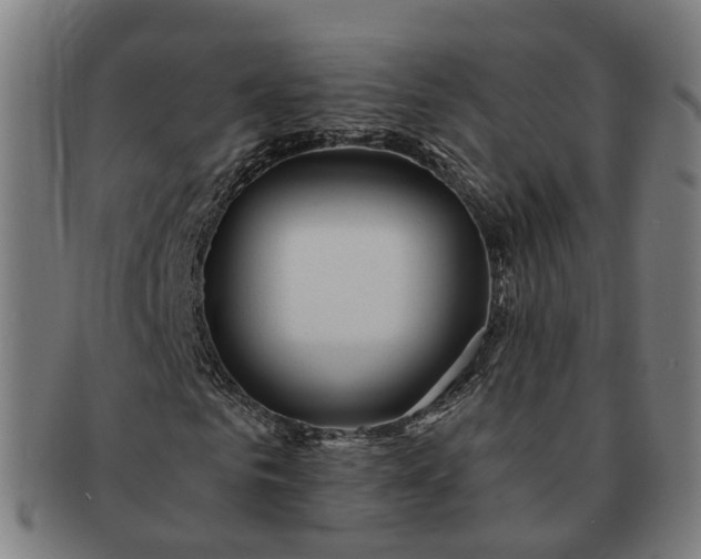 X0000091310961200708241110