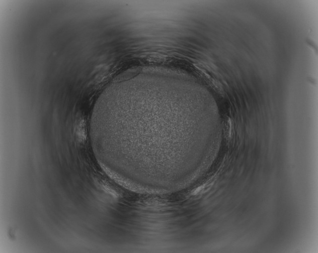 X0000091310962200708241110