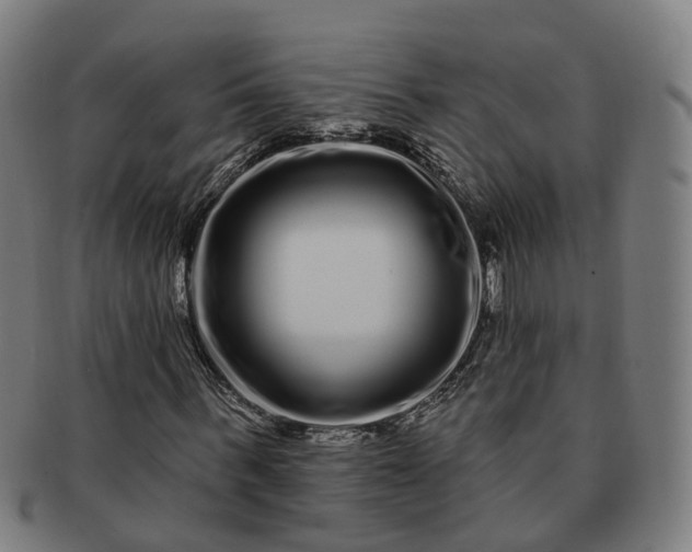 X0000091310963200708241110