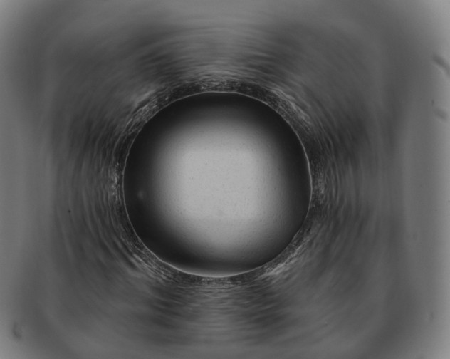 X0000091310964200708241110