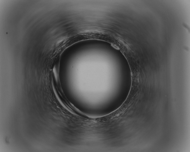 X0000091310965200708241110