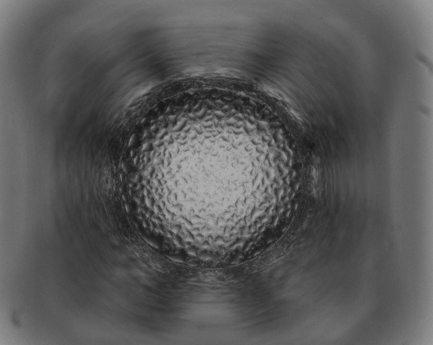 X0000091310966200708241110