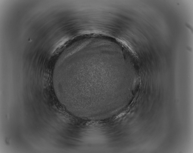 X0000091310967200708241110