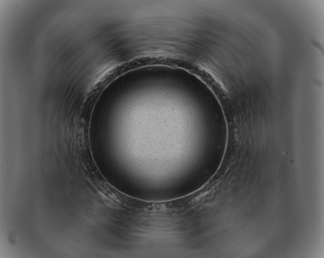 X0000091310968200708241110