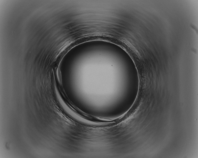 X0000091310969200708241110