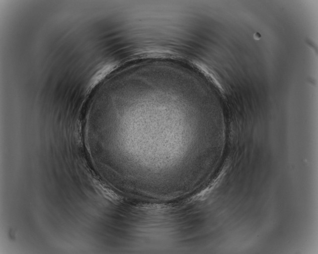 X0000091310970200708241110