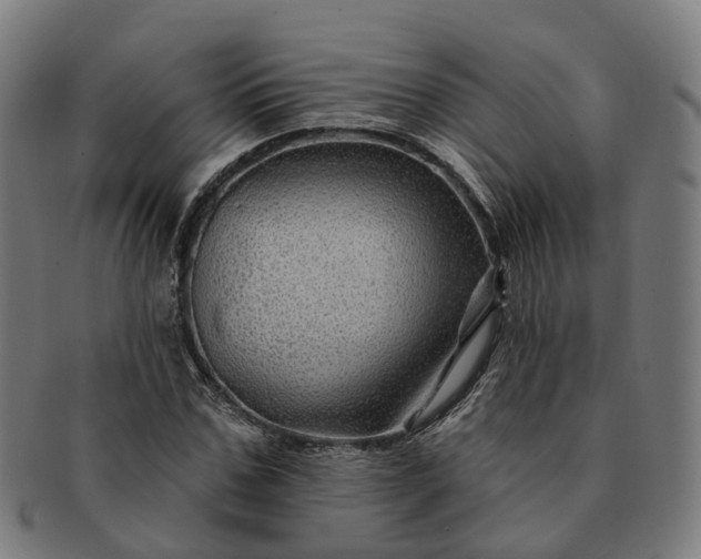 X0000091310971200708241110