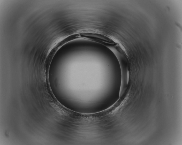 X0000091310973200708241110