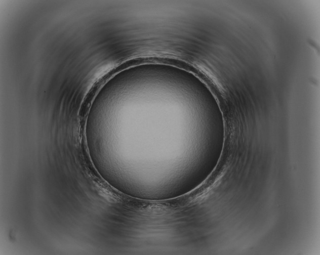 X0000091310974200708241110