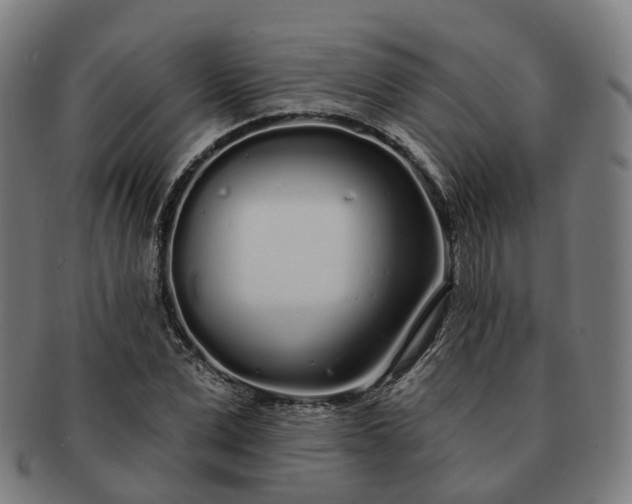 X0000091310975200708241110