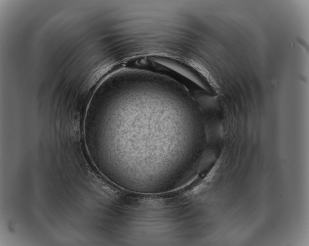 X0000091310977200708241110