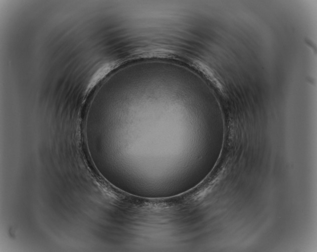 X0000091310978200708241110