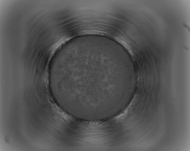 X0000091310979200708241110