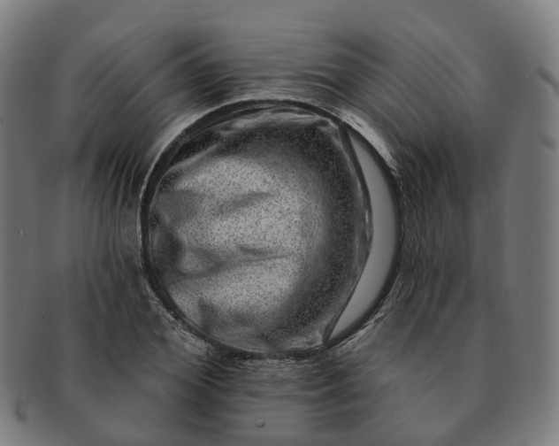 X0000091310980200708241110